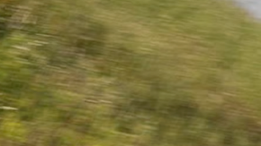 Kia Niro EV 2026 es descontinuado.