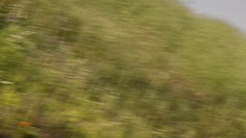 Kia Niro EV 2026 es descontinuado.