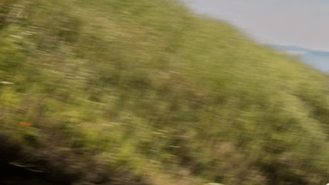 Kia Niro EV 2026 es descontinuado.