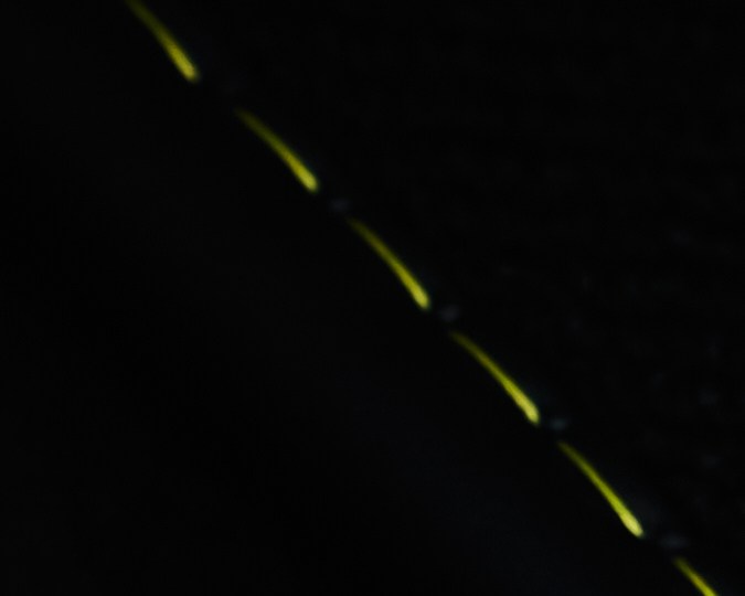 Land Rover Range Rover Sport SV Winter Dusk tiene detalles exclusivos.