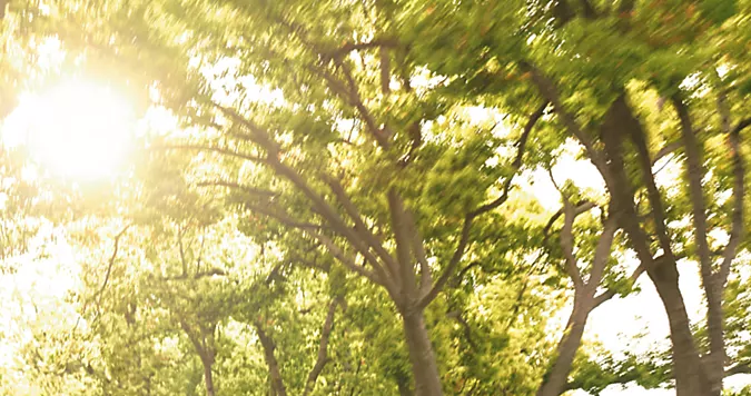 Subaru Ascent 2026 negro en movimiento por calle residencial arbolada, vista trasera lateral con efecto de velocidad