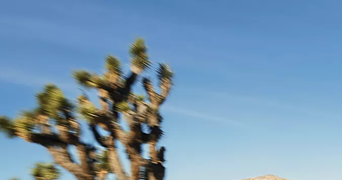 Subaru Ascent 2026 verde conduciendo por carretera curva en desierto con portaequipajes en el techo