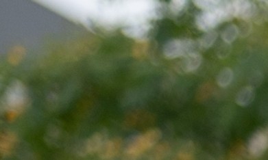 El Toyota Celica fue uno de los mejores deportivos de su época.