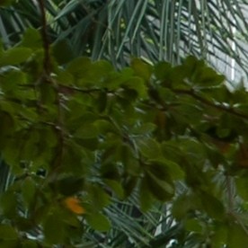 Semáforos que regulan la conducción de autos en la calle de la ciudad en Miami, Florida. Miami, EEUU