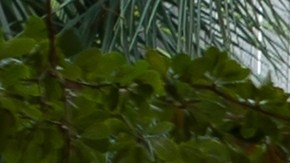 Semáforos que regulan la conducción de autos en la calle de la ciudad en Miami, Florida. Miami, EEUU