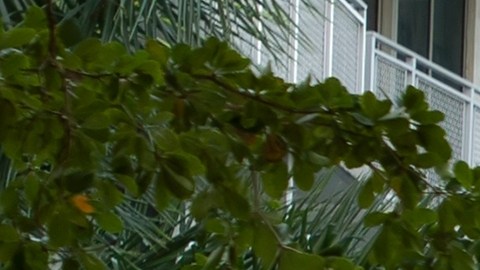 Semáforos que regulan la conducción de autos en la calle de la ciudad en Miami, Florida. Miami, EEUU