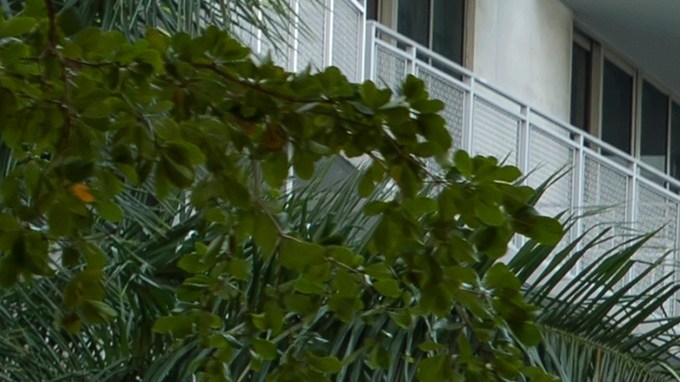 Semáforos que regulan la conducción de autos en la calle de la ciudad en Miami, Florida. Miami, EEUU