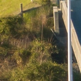 Las cámaras de seguridad monitorean todo lo que ocurre en las calles y autopistas.