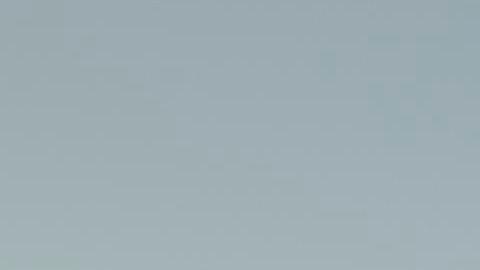 Ford Expedition Timberline 2023 en verde forjado.