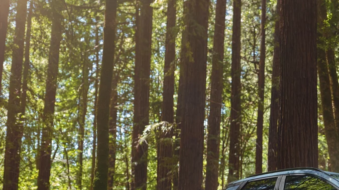 Hyundai Santa Cruz 2025 en bosque, pickup compacta con diseño moderno y enfoque aventurero.