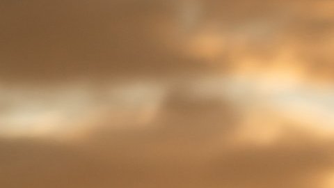 Vista trasera del Porsche 911 GT3 al atardecer en pista, resaltando alerón fijo, diseño deportivo y carácter de alto desempeño