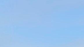 Motor de competición hecho a mano por Ariel.