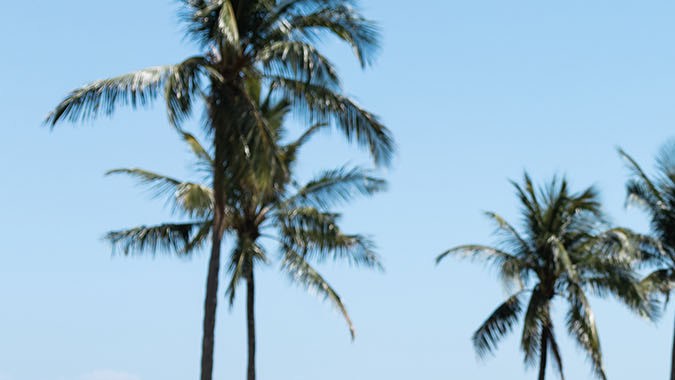 Vista trasera del Caterham Seven Miami Edition, deportivo ligero de edición limitada inspirado en la Fórmula 1 y el Gran Premio de Miami.