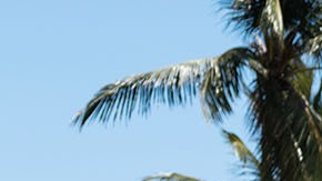 Vista trasera lateral del Caterham Seven Miami Edition con detalles exclusivos, carrocería turquesa y homenaje visual al Gran Premio de Miami.