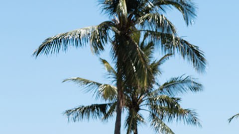 Vista trasera lateral del Caterham Seven Miami Edition con detalles exclusivos, carrocería turquesa y homenaje visual al Gran Premio de Miami.