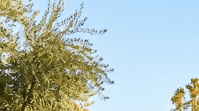 Honda eQuad Fastsport promete más entregas en menor tiempo