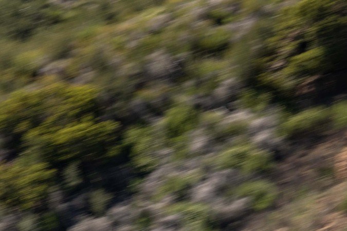 Subaru Forester Wilderness Hybrid 2027 en conducción todoterreno, SUV híbrido para aventuras off-road con mayor autonomía y diseño robusto.