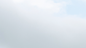 Hyundai Elantra N TCR 2026 llega con ADN de pista al 100%