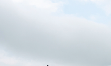 Hyundai Elantra N TCR 2026 llega con ADN de pista al 100%