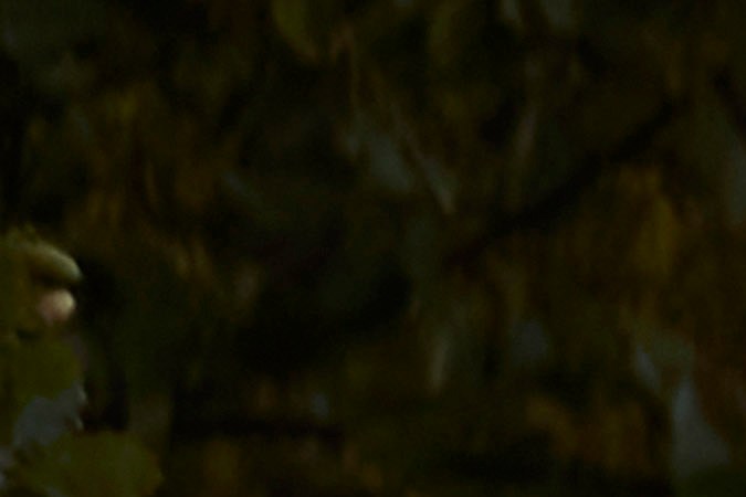 Land Rover Discovery 2021 visto de frente en camino de tierra,