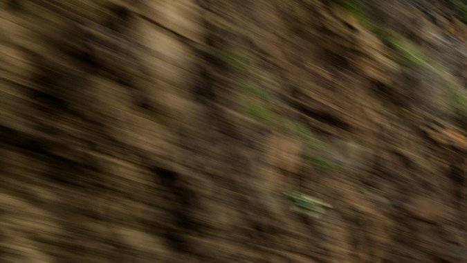 Porsche 911 GT3 S/C llega como una propuesta radical