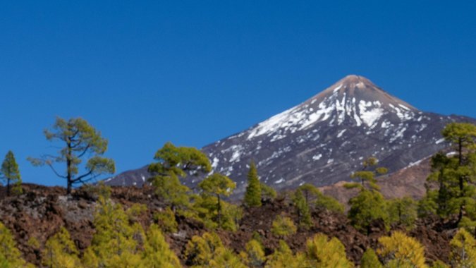 Porsche 911 GT3 S/C llega como una propuesta radical