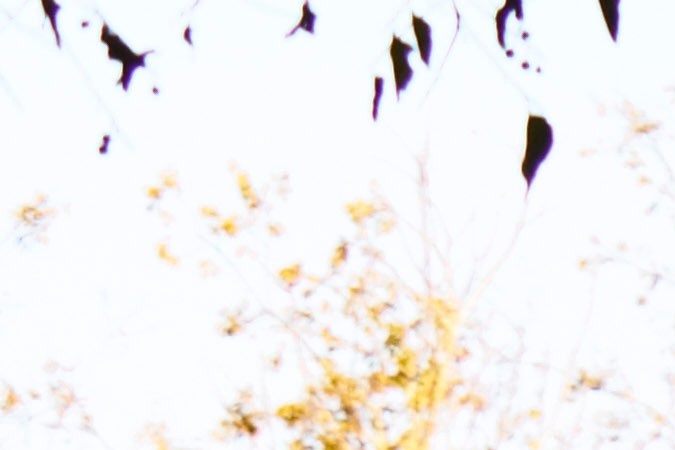 Scout Terra pick-up eléctrica gris con granero rojo de fondo, vista delantera con luces LED encendidas.