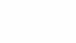 Banner promocional del Stellar Autofest CDMX 2026.