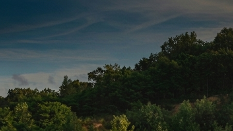 Imagen dividida comparando un SUV Jeep plateado en terreno de tierra y un SUV Toyota azul en una entrada de piedra.