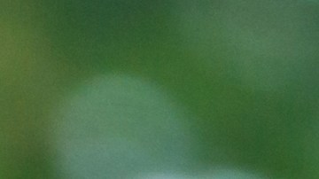 Aplicación Waze mostrada en la pantalla de DS 3 Crossback vía Carplay