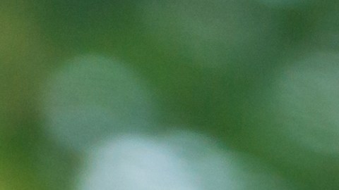 Aplicación Waze mostrada en la pantalla de DS 3 Crossback vía Carplay