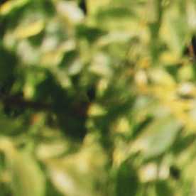 Cientos de reclamos originaron la investigación y retiro de la Ford F-150 2017.