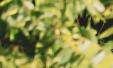 Cientos de reclamos originaron la investigación y retiro de la Ford F-150 2017.