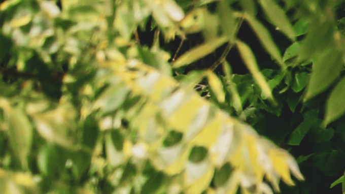 Cientos de reclamos originaron la investigación y retiro de la Ford F-150 2017.