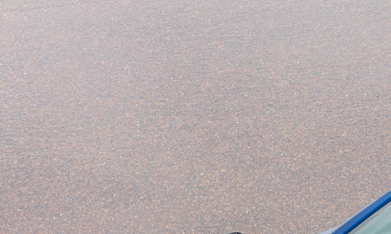 Ford Mustang Dark Horse SC es uno de los autos americanos más poderosos