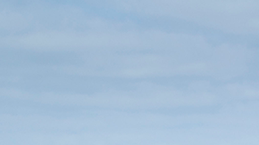 Honda detectó la falla por un defecto en el sistema SRS de los airbags