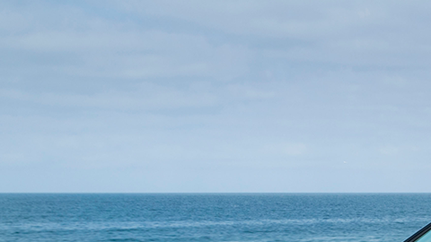 Honda detectó la falla por un defecto en el sistema SRS de los airbags