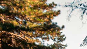 Kia EV3 2027 tiene una imagen moderna.