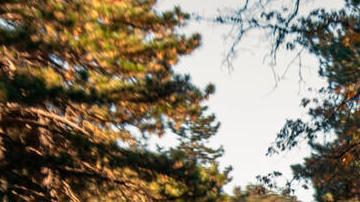 Kia EV3 2027 tiene una imagen moderna.