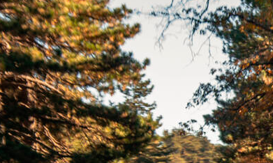 Kia EV3 2027 tiene una imagen moderna.