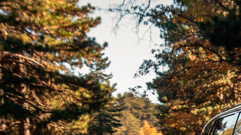 Kia EV3 2027 tiene una imagen moderna.