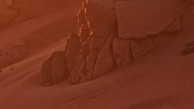 Nissan Terrano Concept revive el ADN extremo de la marca