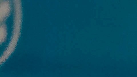 Las pistas de carreras pueden correr diferentes tipos de autos.