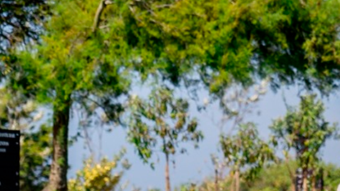 Adamastor Furia destaca por su potencia y aerodinámica