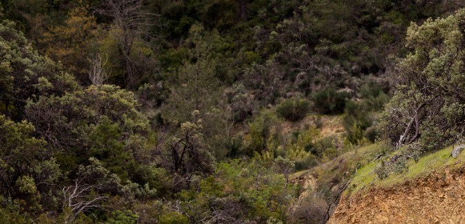 Camioneta Ford Ranger Lariat plateada de frente circulando off-road en camino irregular durante pruebas de manejo.