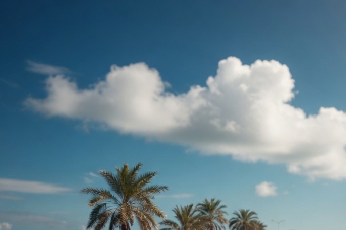 Carretera costera de Miami con autos circulando bajo un cielo soleado junto al mar y palmeras.