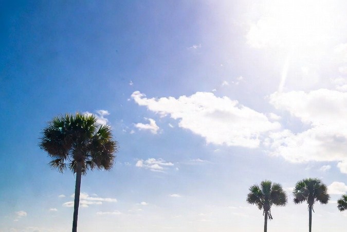 Carretera costera de Florida con autos circulando bajo un cielo soleado junto al mar y palmeras.
