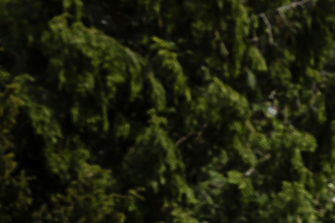 Volkswagen ID. Polo GTI busca cautivar al público del Golf en formato eléctrico