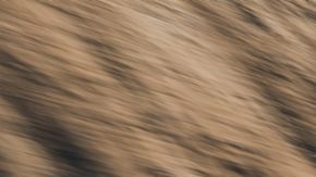 Porsche Macan Eléctrico azul conduciendo en carretera de curvas con montañas al atardecer, vista dinámica