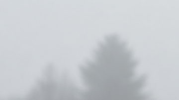 Vidrio trasero con líneas antiempañantes en auto oscuro bajo lluvia y niebla. Desempañador trasero en funcionamiento.